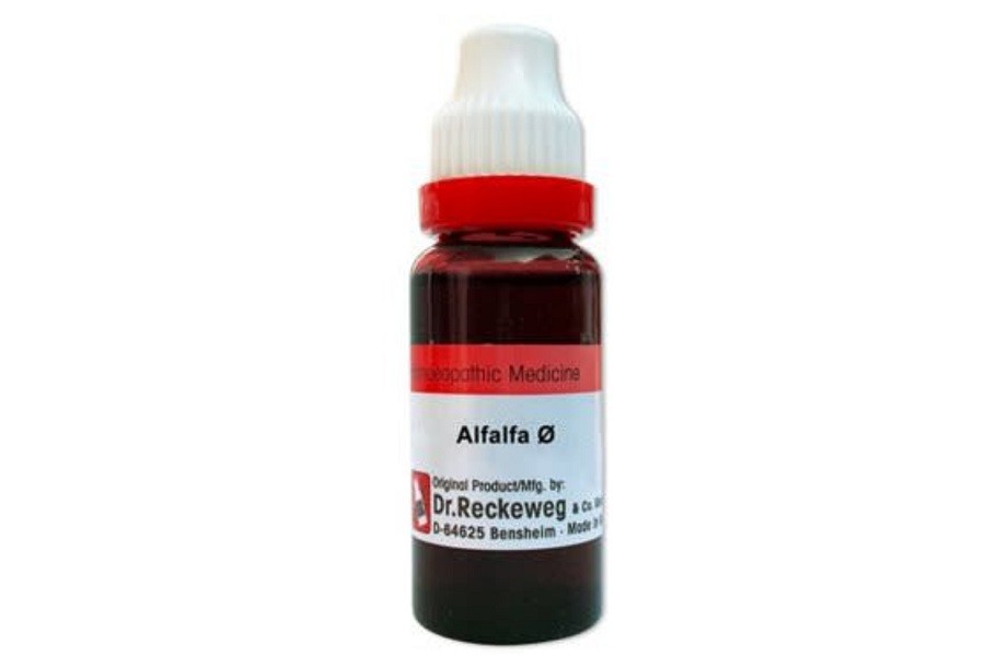 Alfalfa Q Mother Tincture 20 ml | Dr. Reckeweg, Germany