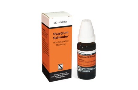 Syzygium Drops 20 ml