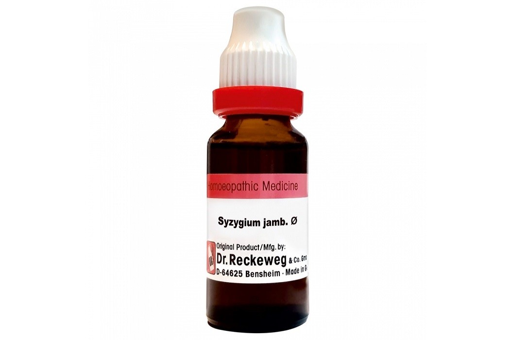 Syzygium Jamb Q 20 ml | Dr. Reckeweg, Germany