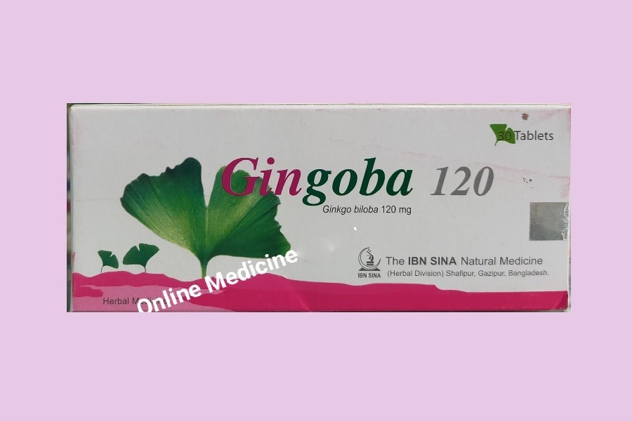Gingoba 120 Tablet 30's pack