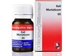 Kali Muriaticum 6X Tablets | Dr. Reckeweg, Germany