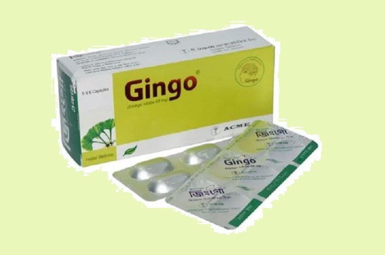 Gingo 60 Capsule 30's pack